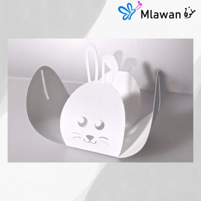 Cute Bunny Tread Box for gifting